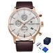 Pagani Design PD-2720 Gold-White-Brown 1138-0173 фото 2