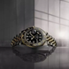 Pagani Design PD-1662 Silver-Gold 1138-0164 фото 2